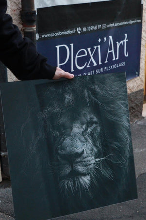 Tableau Plexiglass 